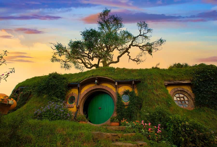 From Auckland: Hobbiton Movie Set Private Tour (Flexible) - Riding in the Volkswagen Multivan
