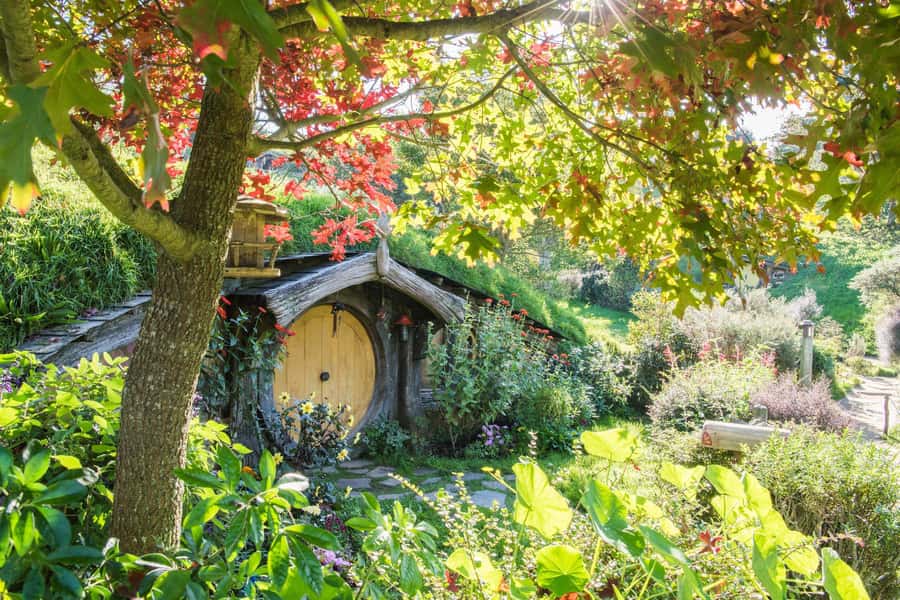 From Auckland: Hobbiton Movie Set Small Group Tour - Key things to know before booking