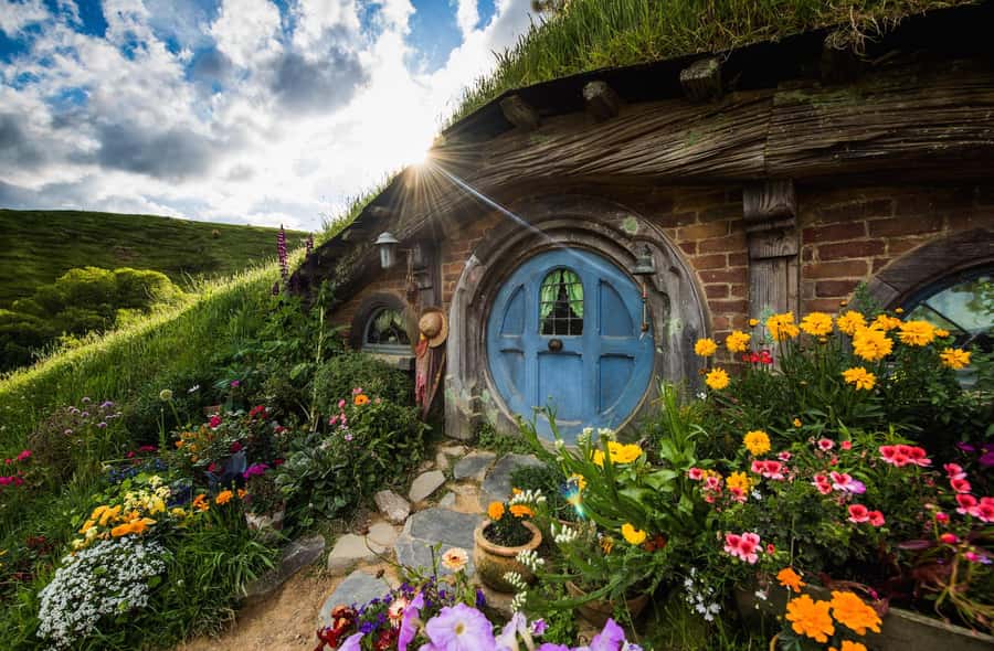 From Auckland: Hobbiton Movie Set Small Group Tour - Arriving at Alexander Family Sheep Farm