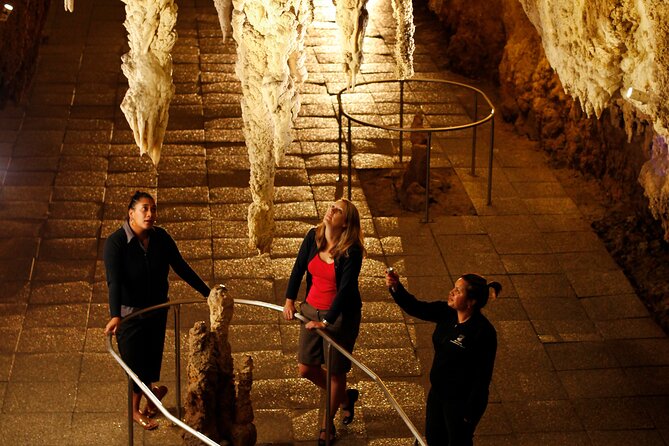 From Auckland:Hobbiton Movie Set & Waitomo Caves Small Group Tour - Walking through 44 hobbit holes