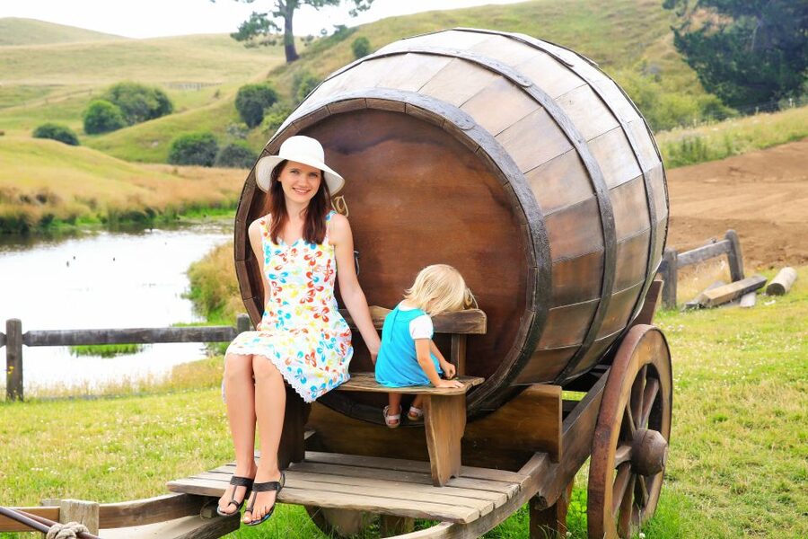 From Auckland: Hobbiton & Rotorua Tour with Lunch at Te Puia - Who should book this day trip?