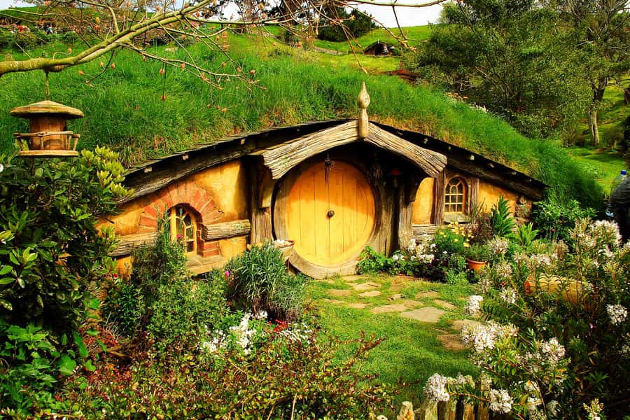 From Auckland: Hobbiton & Rotorua Tour with Lunch at Te Puia - Te Puia brings Rotorua’s earth and culture together