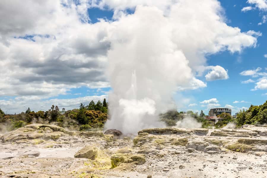 From Auckland: Hobbiton & Rotorua Tour with Lunch at Te Puia - The buffet lunch adds real value