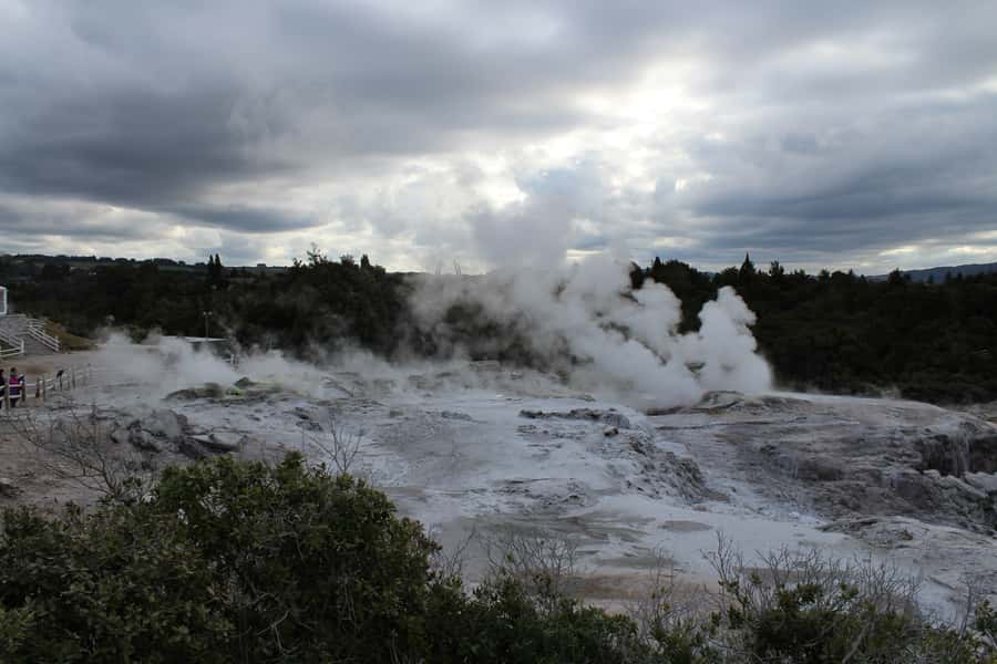 From Auckland: Hobbiton & Rotorua Tour with Lunch at Te Puia - Returning to Auckland or staying in Rotorua