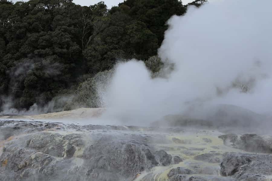 From Auckland: Hobbiton & Rotorua Tour with Lunch at Te Puia - What $286 buys you