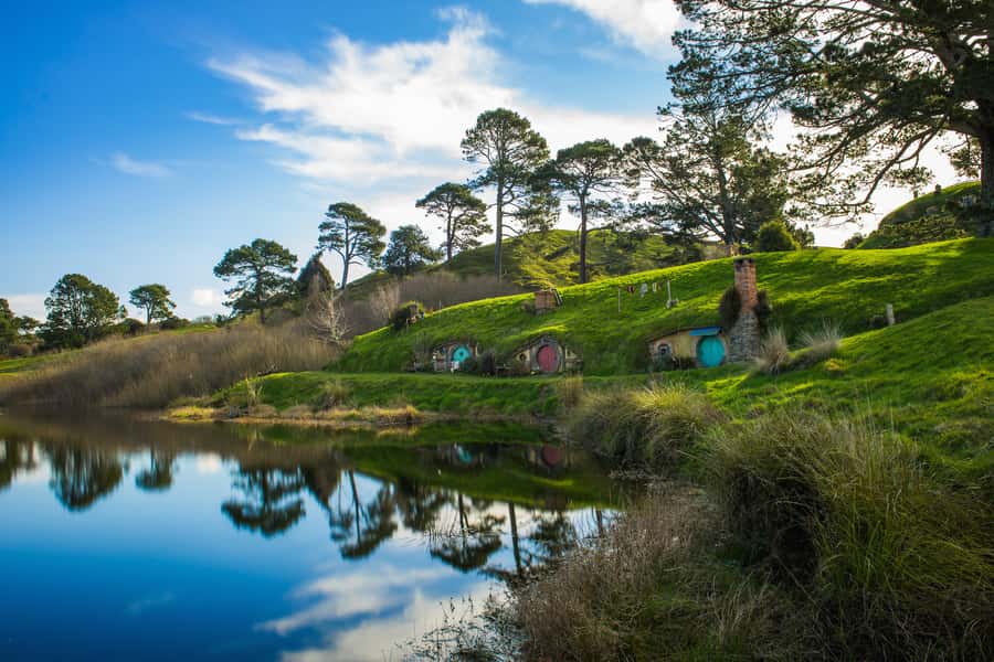 From Auckland: Hobbiton & Waitomo Caves Day Trip with Lunch - Leaving Auckland for Waikato views