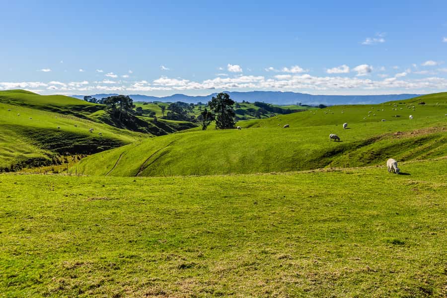 From Auckland or Rotorua: Hobbiton & Waitomo Tour with Lunch - Waitomo Cave and the glowworm boat ride