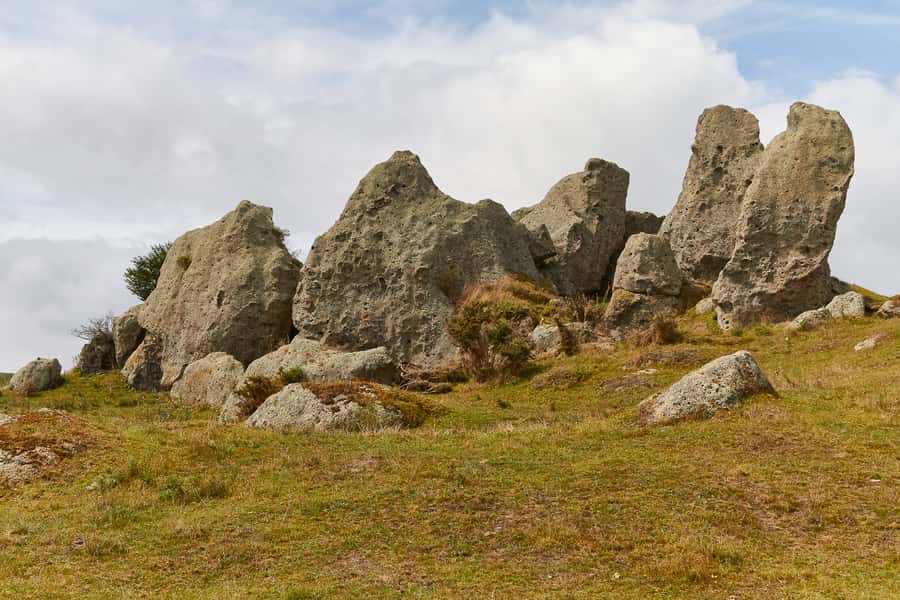 From Auckland or Rotorua: Hobbiton & Waitomo Tour with Lunch - Who will enjoy this day most?