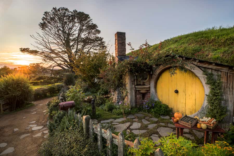 From Auckland: Waitomo & Hobbiton Bus Tour with Lunch - Five details that shape the day