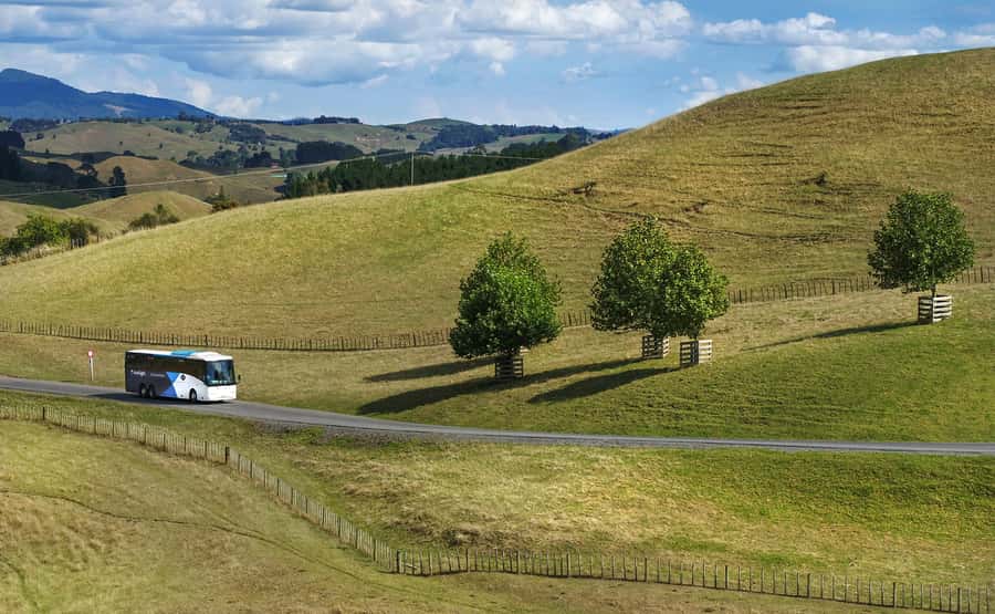 From Auckland: Waitomo & Hobbiton Bus Tour with Lunch - The return to Auckland and the real cost of convenience