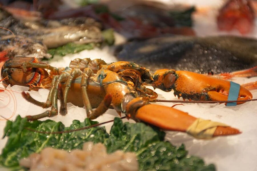From Barcelona: Girona & Costa Brava Game of Thrones Tour - Calella de Palafrugell: 45 minutes beside the sea