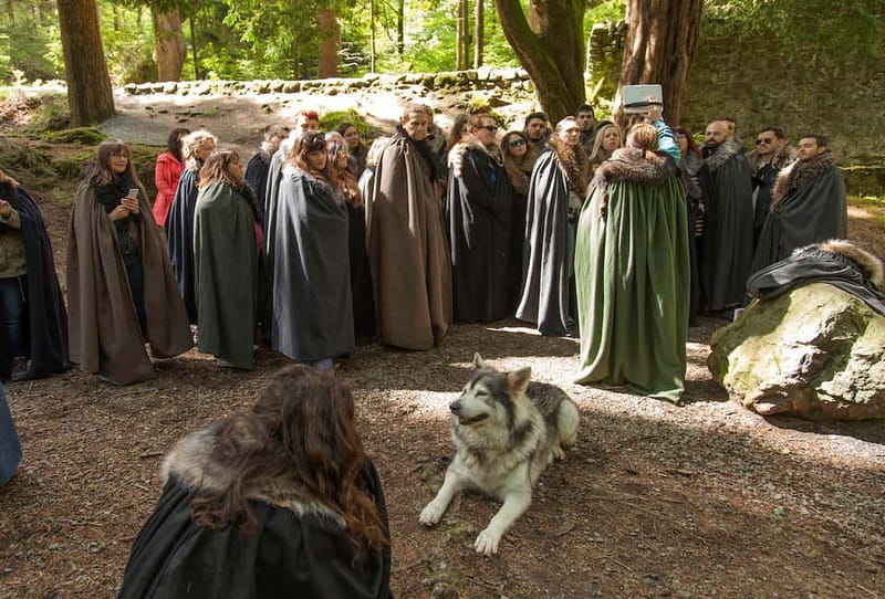 From Belfast: Game of Thrones Winterfell Locations Tour - Audley’s Castle and Robb Stark’s Riverlands