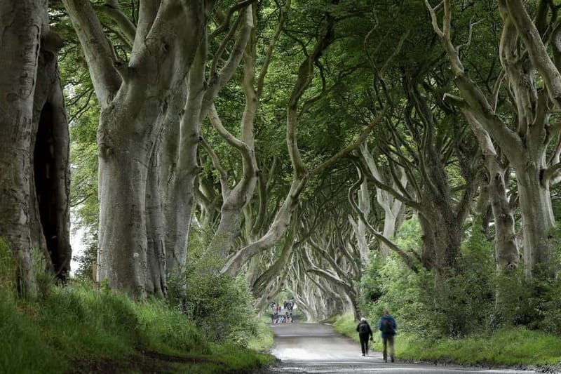 From Belfast: Giant's Causeway and Game of Thrones Tour - Why this Antrim Coast route works