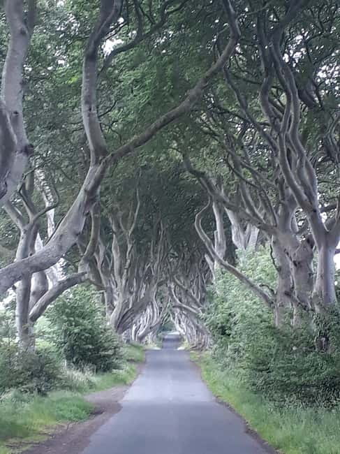 From Belfast: The Giant's Causeway & Game of Thrones Tour - Carnlough Harbour and the steps of Braavos