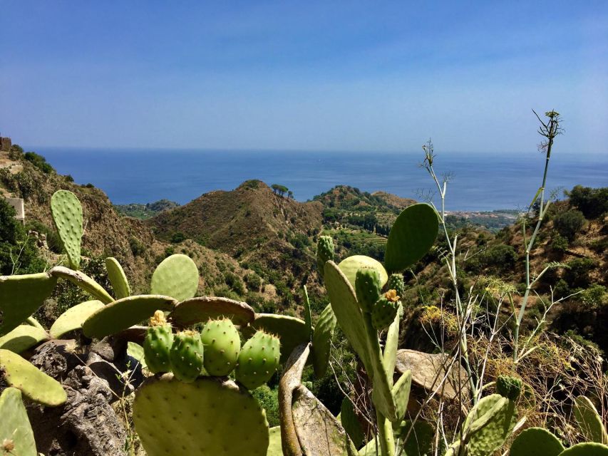 From Catania: The Godfather Movie Day Trip in Sicily - Forza d’Agrò and its village streets