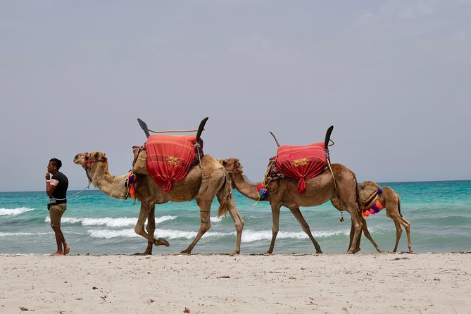 From Djerba : 1 day in the footsteps of Star Wars "Mos Eisley" - The Roman road offers a quick photo break