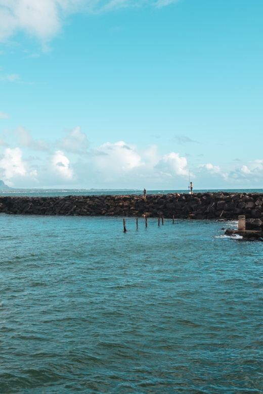 From Oahu: Kauai Highlights & Movie Sites - Why this one-day Kauai trip works