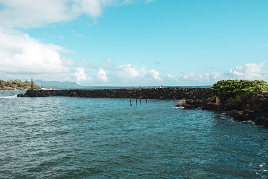 From Oahu: Kauai Highlights & Movie Sites - Starting at Honolulu Airport and flying to Lihue