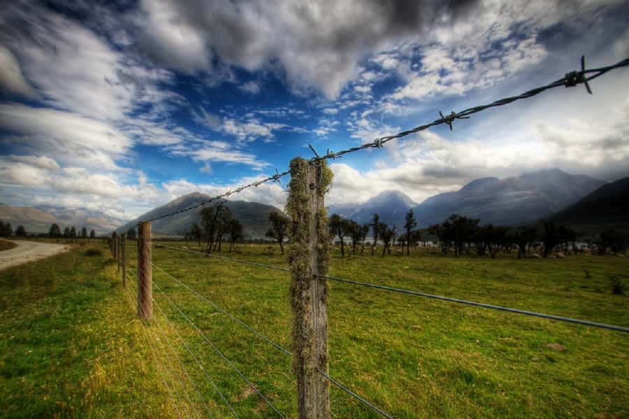 From Queenstown: Lord Of The Rings Tour to Glenorchy - Lothlórien Forest, costumes, and replica swords