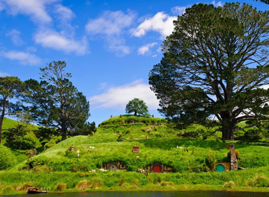 From Rotorua: Hobbiton Movie Set Tour with Festive Lunch - Key things to know before you go