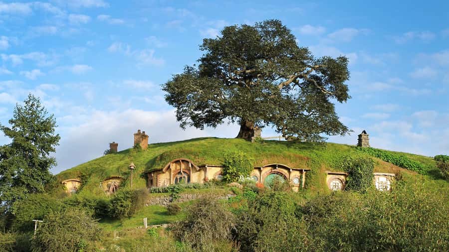 From Rotorua: Hobbiton Movie Set Tour with Festive Lunch - What the festive buffet lunch is like