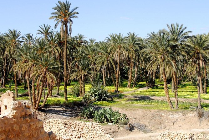 From Tunis: Star Wars 5 day tour - A Berber home and the Roman arena at El Jem