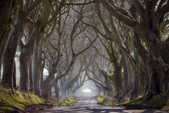Full-day private tour from Game of Thrones Odyssey - Two hours at Ballintoy Harbour