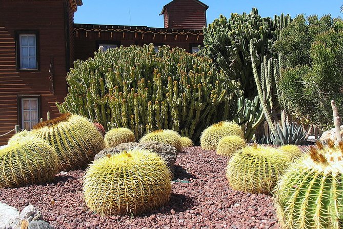 Full-Day Western Theme Park Tour of Mini Hollywood - Oasys - Is the $96.12 price fair?