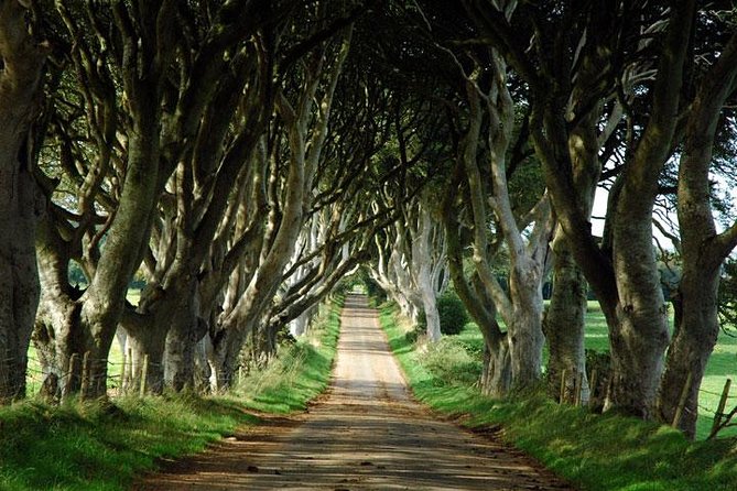 Game of Thrones and Giant's Causeway Day Tour from Belfast - Carnlough Harbor and Arya Stark’s escape