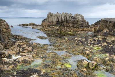 Game of Thrones and Giant’s Causeway Full-Day Tour from Belfast