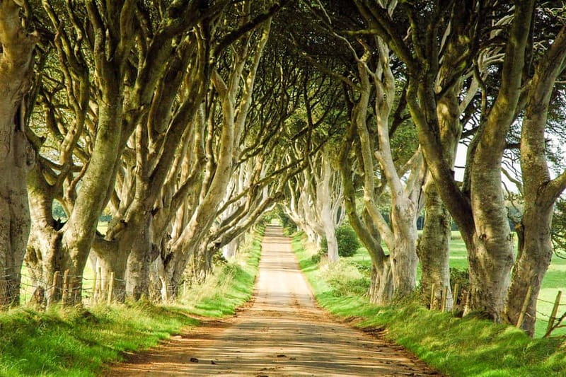 Game of Thrones & Giant's Causeway: Guided Tour from Belfast - Dunluce Castle and the House Greyjoy connection
