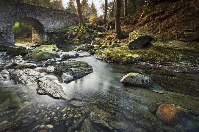 Game of Thrones - Tollymore Forest Trek - A guide-led tour with a personal feel
