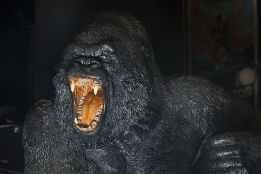Genoa: FantaCinema Museum Entry Ticket - Is $7 a fair price?
