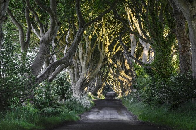 Giant's Causeway and Belfast City Murals Tour inc Game of Thrones Dark Hedges - Key points to know before booking