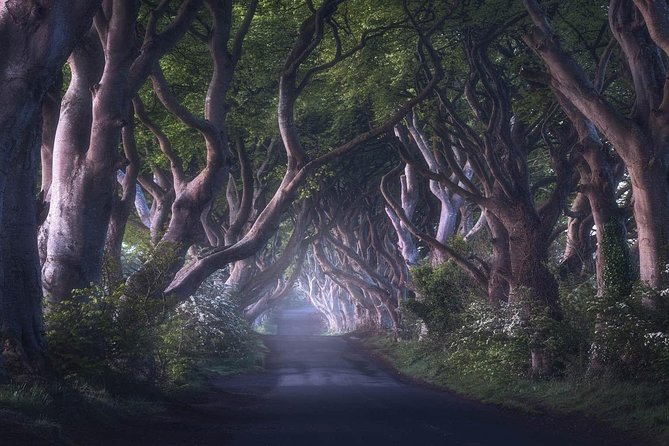 Giants Causeway & Game of Thrones Tour from Belfast - Ballintoy Harbour as the Iron Islands