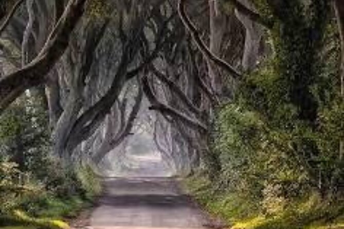 Giants Causeway Tour From Belfast including Game of thrones sites - The Dark Hedges and the road to Gracehill