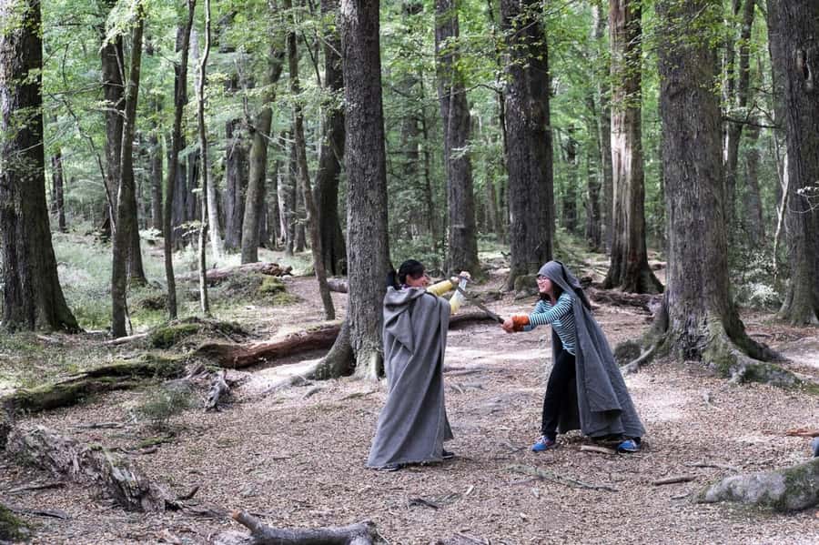 Glenorchy: 4WD Lord Of the Rings Half-Day Tour - Movie props and small-group photos