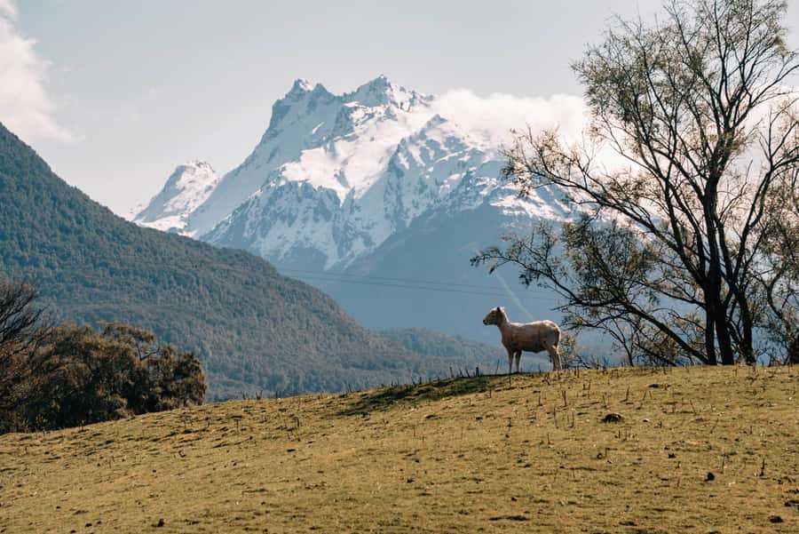 Glenorchy: 4WD Lord Of the Rings Half-Day Tour - What the 4WD ride is really like