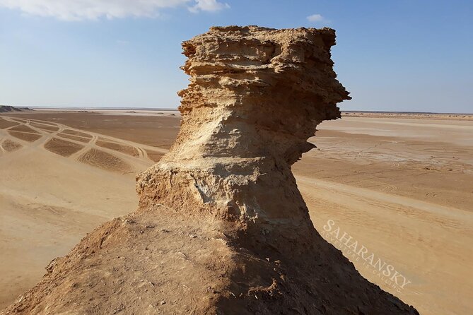 Half Day Star Wars Film Set Locations Private Tour from Tozeur - What the driver can and cannot add
