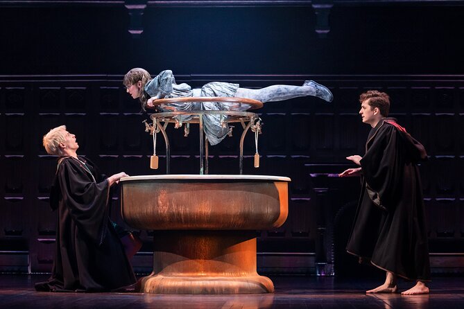 Harry Potter and the Cursed Child on Broadway Ticket - Who will get the most from this Broadway night
