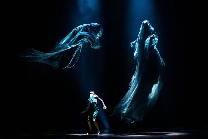 Harry Potter and the Cursed Child on Broadway Ticket - Why the special effects matter more than the plot