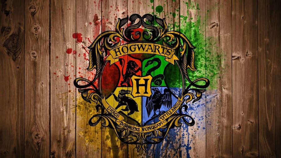 Harry Potter Private Tour of London in Spanish - Who will enjoy this tour most?