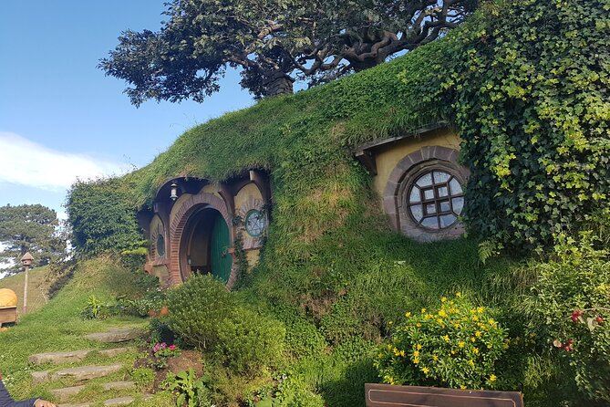 Hobbiton Afternoon Tour in Luxury Minibus from Auckland - Why the afternoon departure works well