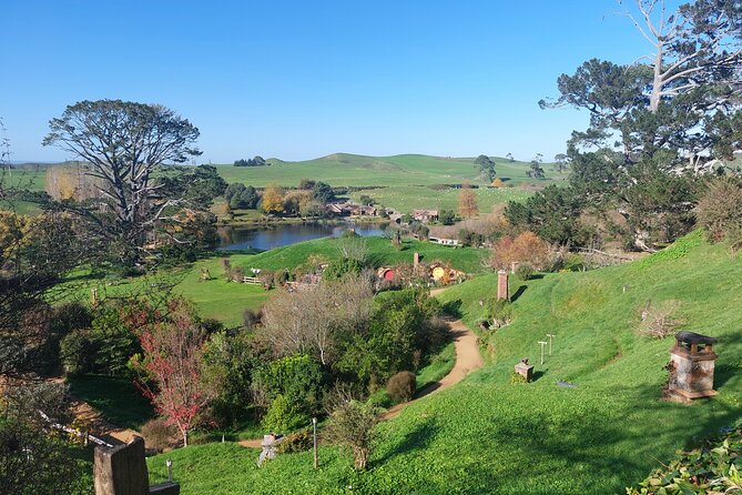 Hobbiton Afternoon Tour in Luxury Minibus from Auckland - Lunch at Shire’s Rest before the set