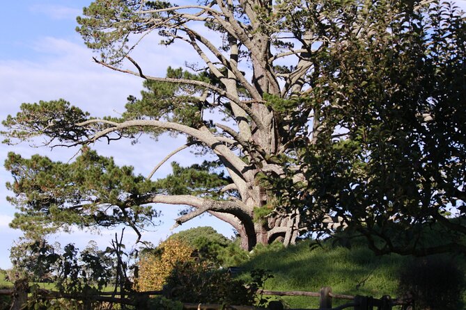 Hobbiton Afternoon Tour in Luxury Minibus from Auckland - Entering Hobbiton on the two-hour guided tour