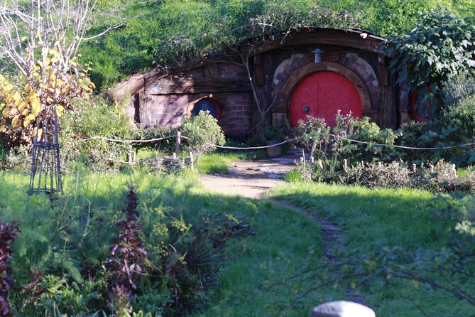 Hobbiton and Waitomo Caves from Auckland - Smaller Group - Down into the Waitomo Glowworm Cave