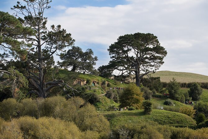 Hobbiton Day Tour from Rotorua with lunch at Hobbiton - Inside the Hobbit holes