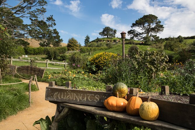 Hobbiton Day Tour from Rotorua with lunch at Hobbiton - Guide quality can shape the day