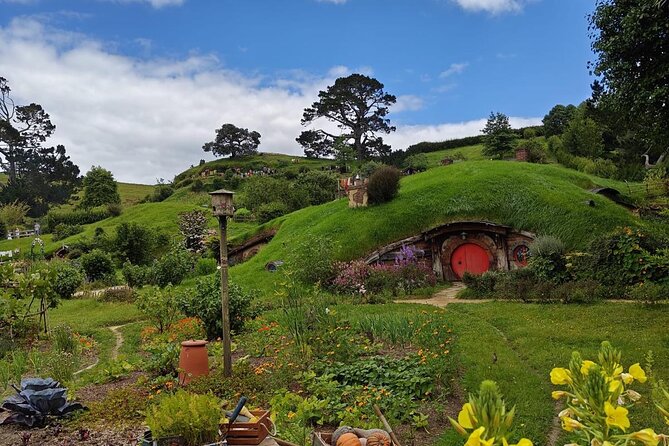 Hobbiton Movie Set Guided Day Tour with Lunch from Auckland - Who will enjoy this outing most