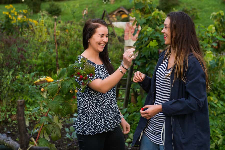 Hobbiton Movie Set & Rotorua Premium Day Tour from Auckland - The kiwi enclosure and carving school